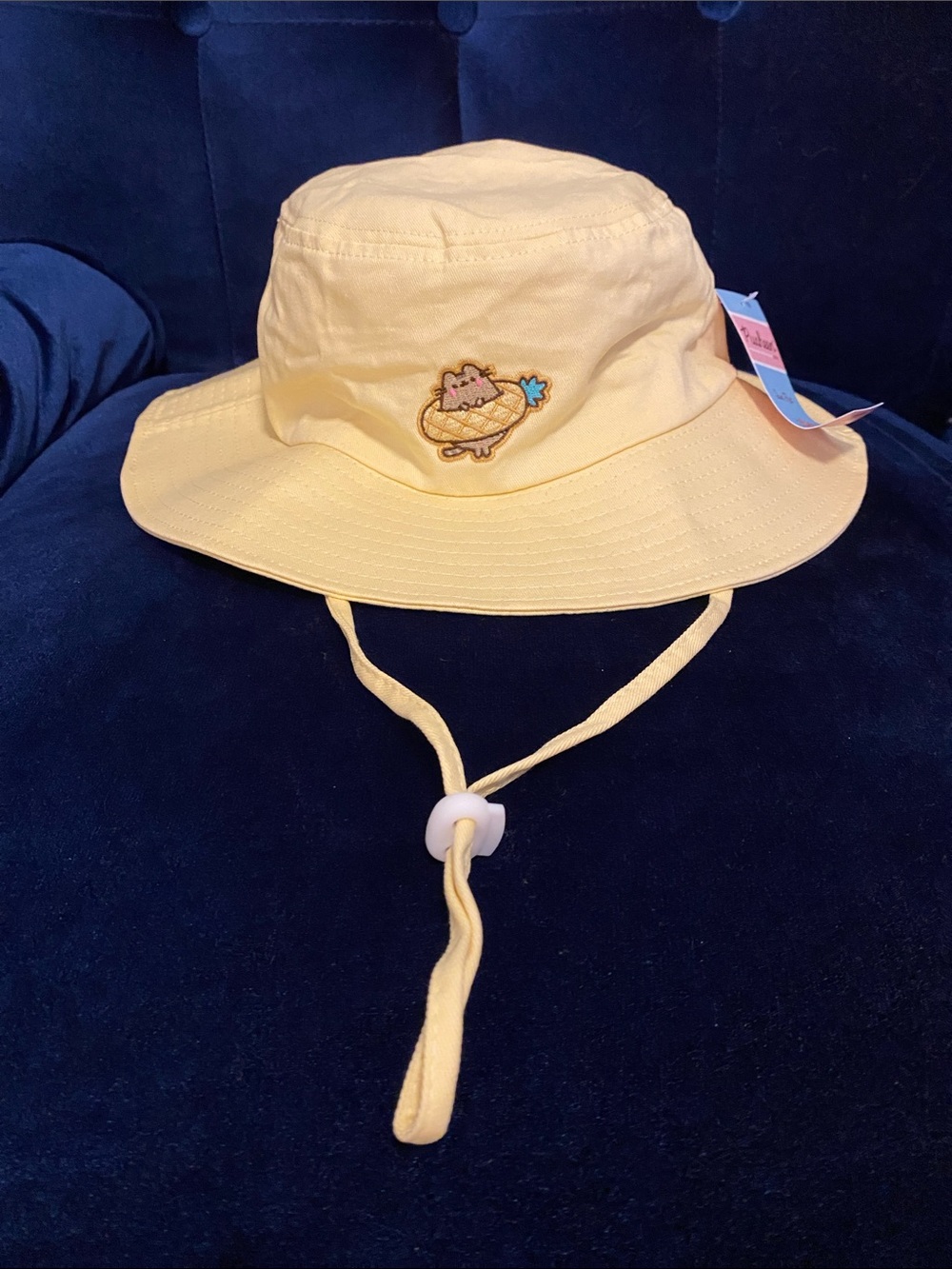 Pusheen Box Exclusive 2026 Summer Box sun bucket hat NWT